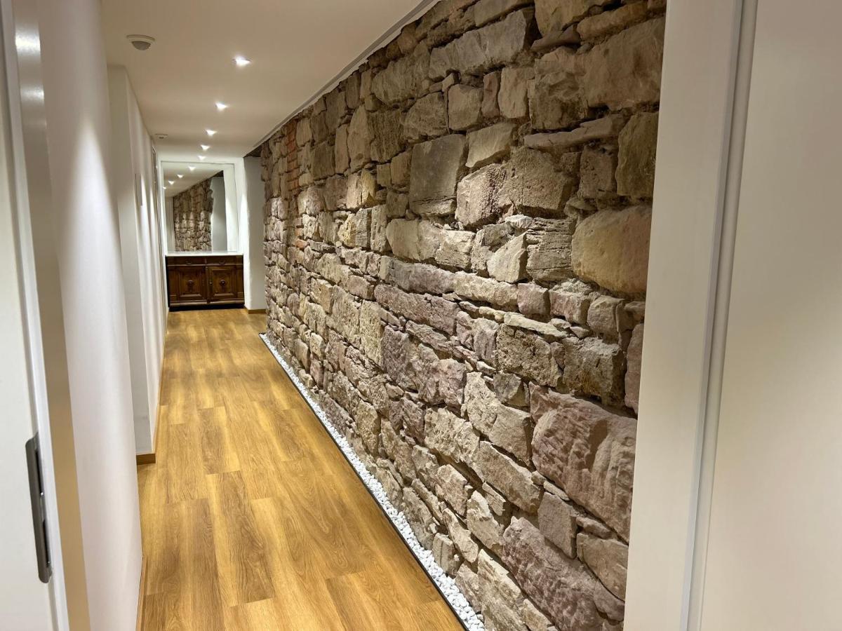 Historical Luxury Homes - Luxus Familien Suite Freiburg im Breisgau Exteriör bild