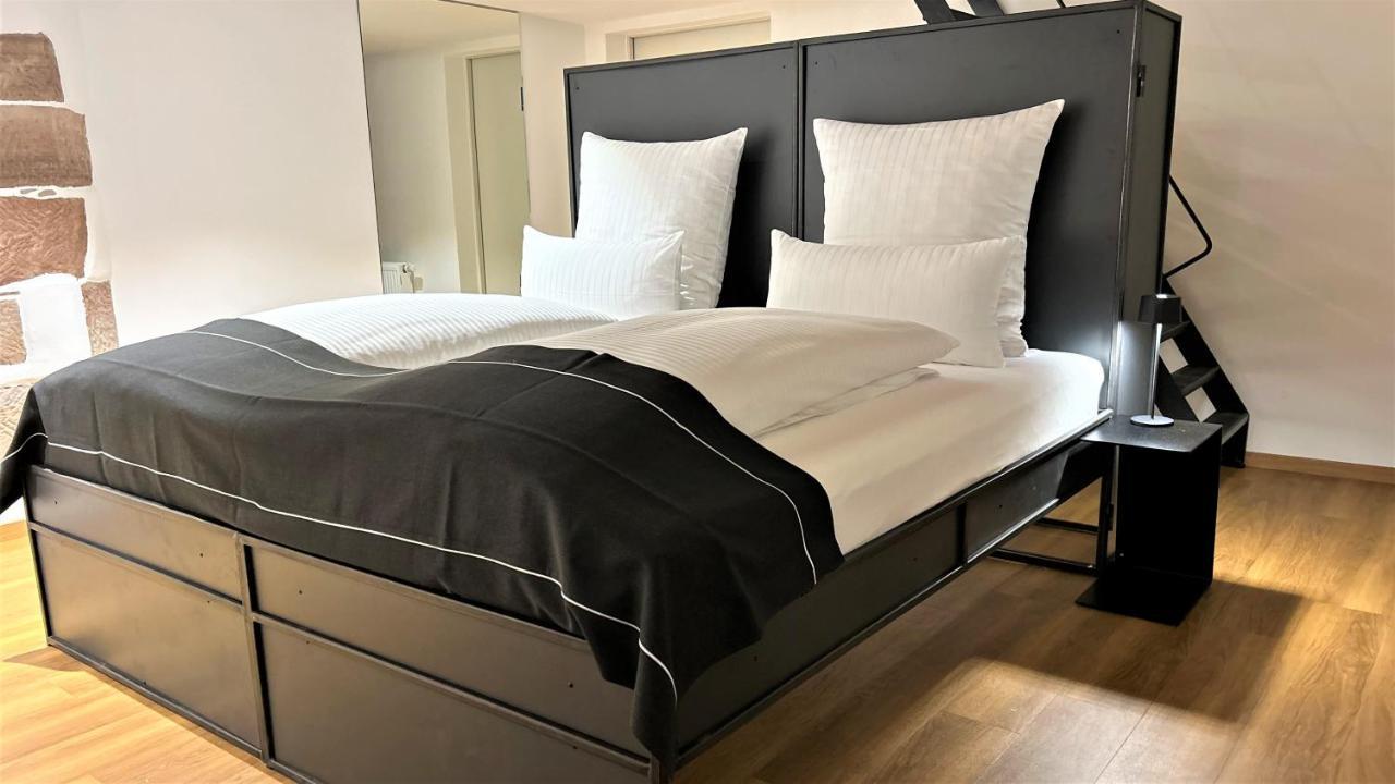 Historical Luxury Homes - Luxus Familien Suite Freiburg im Breisgau Exteriör bild