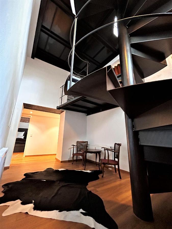 Historical Luxury Homes - Luxus Familien Suite Freiburg im Breisgau Exteriör bild